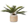 Bhuvan handloom Jute Planter Pots/Storage Basket with handle, Multi-Purpose use for Bathroom Living Room 10x12 (Bhuvan_07) view 3