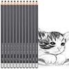 Paaroots Black Charcoal Pencils, 12 Pieces. Features 3 Grades of Charcoal Including Soft, Medium and Hard. For Detail Sketching and Drawing (Pack of 12) view 2
