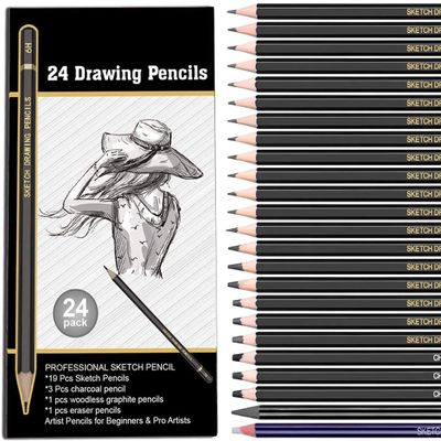 Paaroots Pack of 24 Artist Grade Quality Fine Art Drawing & Sketching Shading Pencils - 24 Pcs Art Pencils