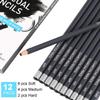 Paaroots Pack of 24 Artist Grade Quality Fine Art Drawing & Sketching Shading Pencils - 24 Pcs Art Pencils view 2