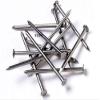 DPK Hardware Metal Round Wire Nails for Hanging and Multipurpose Used for Home and Office use(1/2 Inch X 200) view 2