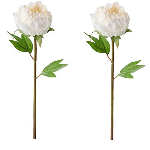 Ikea TSSP Artificial Flower, Peony (White, 30 Cm) - 2 Pieces