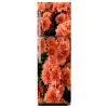 Delight Decor Orange Flower Fridge Sticker | Wall Sticker for Living Room/Bedroom/Office and All Decorative Stickers view 1