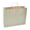 Sapco Stripes Gift Paper Carry Bag Pack of 10(Green)(15x12x4-Inch) view 1