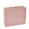 Sapco Stripe Gift Paper Carry Bag Packs for Marriage, Birthday, Holiday 10 (Brown) (15x12x4-Inch) view 1