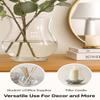 SHOBHANA ENTERPRISES Premium Crystal-Clear Round Glass Vase Bowl | Multipurpose Fish Bowl, Terrarium, Table Centerpiece, Home Dcor, Flower Arrangement & Candle Display  4 Inch Bell Jar (Transparent) view 3