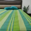 RANGBHAR Handloom Cotton Single Bedsheet Without Pillow Covers, Woven Striped Bedcover, 60 x 90 inch, Green,210 Threadcount view 3
