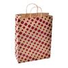 Sapco Polka Dot Gift Paper Bag Pack of 10 (12x16x5-Inch, Brown) view 1
