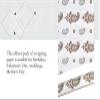 ELEGANT CASA Printed Gift Wrapping Paper Assorted Design Pack of 10 Sheets - Golden and Silver Gifts Wrap Roll, Printed Sheet for Birthdays 10 pcs + 10 Mtr Tape Size - 19" x 28" view 4
