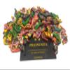 PRANSUNITA Wooden Bird Beads Size  3 cm, Used for Art and Crafts, Dresses, Beading, Pendant, Macrame, Jewellery Making, DIY Crafts & School Project etc Pack of 50 - Multi-Coloured view 1