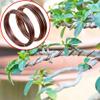 GREENARTZ 66ft 3.5mm Aluminium Wire for Bonsai Gardening Electrical use view 3