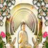 Color Solution Window Wallpaper Gautam Buddha Wallpaper Wall Sticker for , Living Room, Bedroom, Hall, Kids Room, Play Room(Self Adhesive Vinyl,Water Proof) (24 x 18 Inch (3 sq ft) view 1