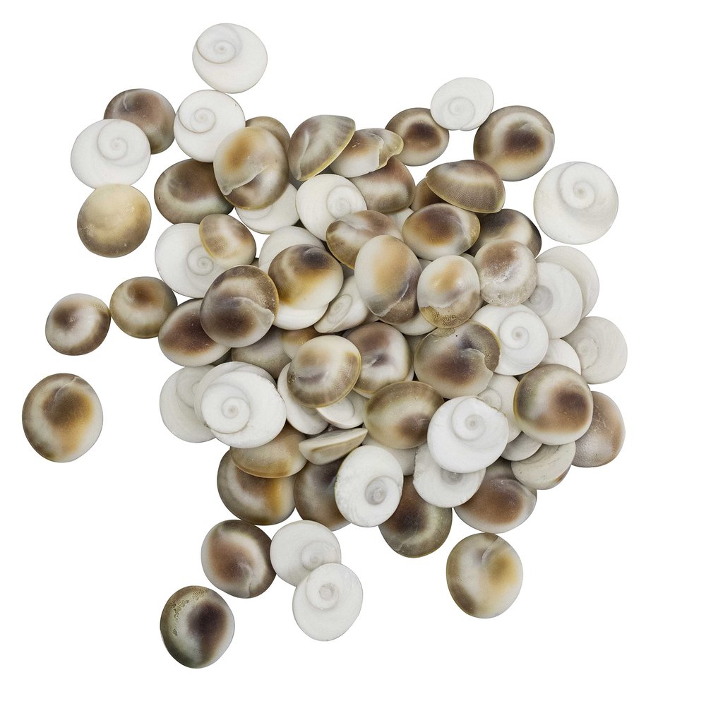 Spillbox Original Gomathi Chakra for Lakshmi Puja, Wealth, Vastu, Astrology Remedies | Gomati Chakram Set for Temple, Home, Havan | 108 Natural White Shells