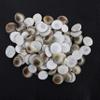 Spillbox Original Gomathi Chakra for Lakshmi Puja, Wealth, Vastu, Astrology Remedies | Gomati Chakram Set for Temple, Home, Havan | 108 Natural White Shells view 3
