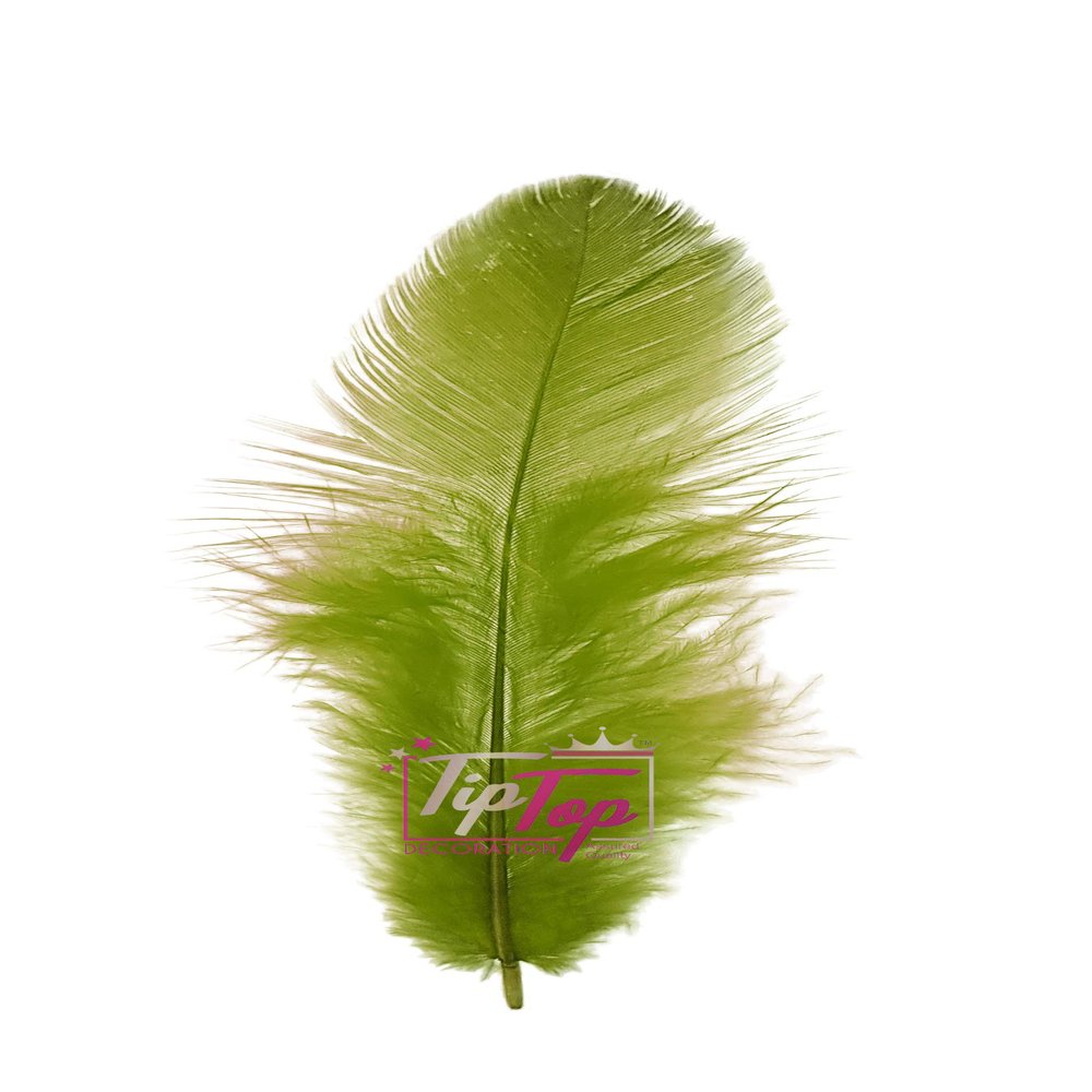 TIPTOP DECORATION Natural Dyed Feathers 10 cm (80 pieces) (Mehndi Green)