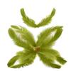 TIPTOP DECORATION Natural Dyed Feathers 10 cm (80 pieces) (Mehndi Green) view 3
