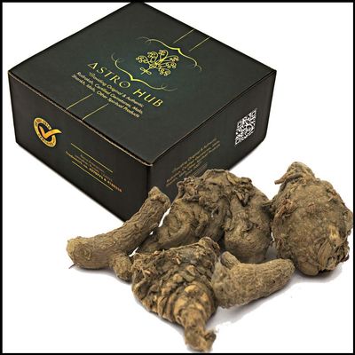 ASTRO HUB Kali Haldi, Black Turmeric, , Kali haldi for puja, Black Turmeric for Pooja (9 Pc Set)