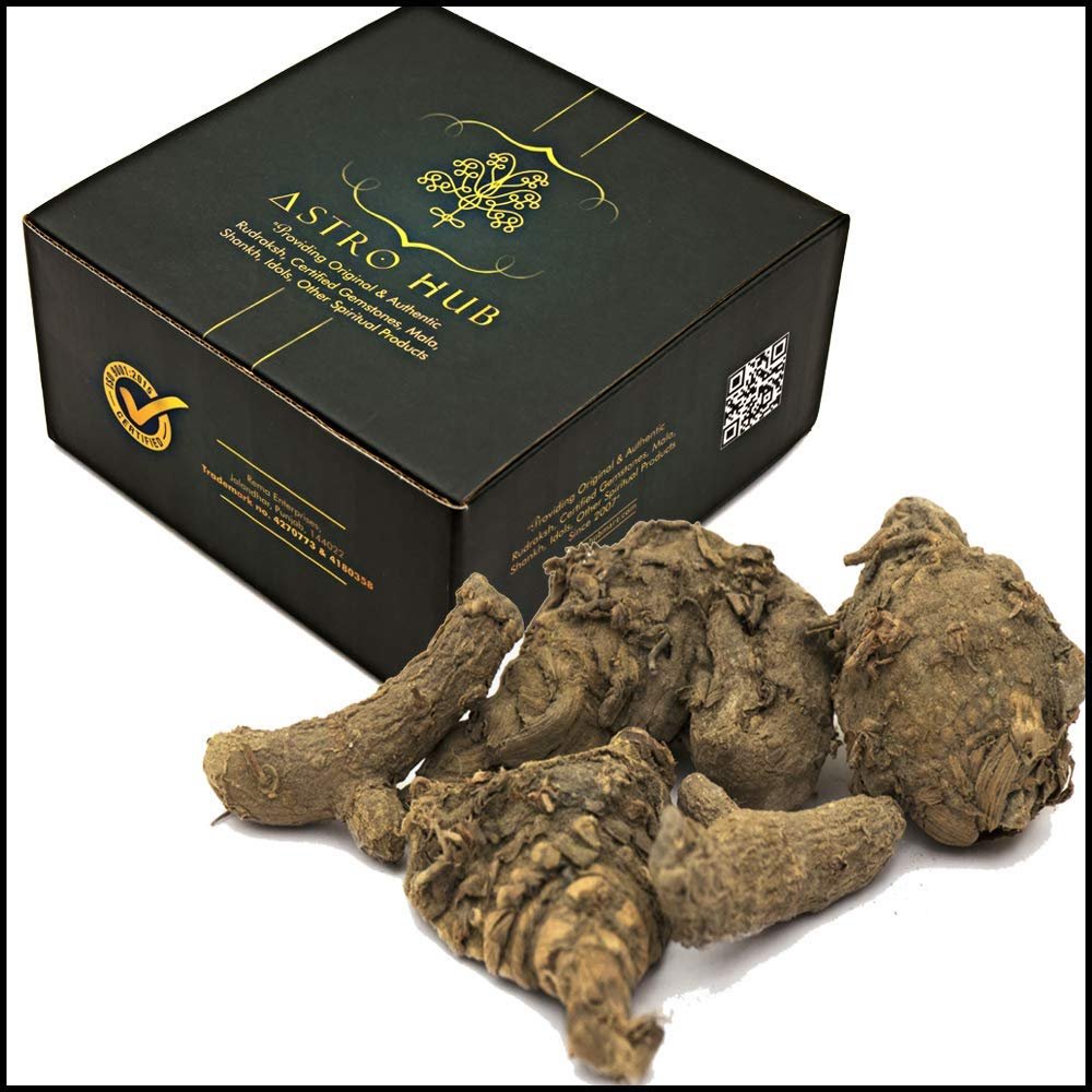 ASTRO HUB Kali Haldi, Black Turmeric,  , Kali haldi for puja, Black Turmeric for Pooja (9 Pc Set)