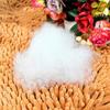 Royal Trend | Hotel Quality Premium Fibre Sofa Cushions Set of 5 | Cushion 12 inch x 12 inch | Sofa Pillow,Cushion,Cushions for Sofa, Cushion Pillow,Sofa Pillow,Cushions for Bed (Color White) view 2
