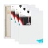 Variety Canvas 10 Oz Primed Cotton Pre Stretched Canvas with Wooden Frame - Multi Size (3, 5 X 7 INCH) view 1