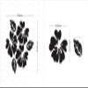 Wall1ders Flower & Leaf (Pack of 6), Mirror Stickers for wall, Acrylic Mirror wall Decor Sticker, wall Mirror Stickers, Acrylic Stickers, Wall Stickers for Hall Room, Bed Room, Kitchen. (Silver1.5mm) view 2