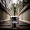 Coozybear 500ml Can Coozy/650ml Bottle Sleeve, Drink Insulator,Can Cooler (Design 13) view 2