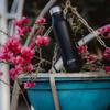 COURAGE ; BE THE CHANGE Stainless-Steel Water Bottle for Office | School | Sports & Outdoor | Easy Sip & Grip | Leak-Proof & BPA Free | Easy to Clean(Dream, Matte Black) (1000ML, Pack of 1) view 3