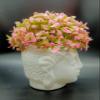 Tumphu Panda Artificial Budha Pot with Head Pink Plant Fake Topiaries for Home Decor, Washroom and Office Decor (3X3X7 inch) (Budha1) view 1