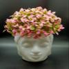 Tumphu Panda Artificial Budha Pot with Head Pink Plant Fake Topiaries for Home Decor, Washroom and Office Decor (3X3X7 inch) (Budha1) view 2