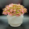 Tumphu Panda Artificial Budha Pot with Head Pink Plant Fake Topiaries for Home Decor, Washroom and Office Decor (3X3X7 inch) (Budha1) view 3
