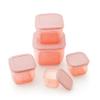INVOSS Fridge Storage Containers for Vegetables  Multisize (Pack of 5) | Refrigerator Organiser Boxes | Freezer Safe, Plastic Fridge Containers | Kitchen Storage Box for Vegetables & Fruits - Pink view 2