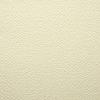 Paper Pep Colorissimi Card Stock 220GSM A4 Avorio (Cream) Unicolor of 15 Sheets view 4