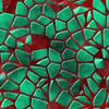 Unique Graphics Green & Red Giraffe Self Adhesive Wallpaper, Waterproof, Scratch Resistant, Laminated (41cm x 244cm, Multicolour) view 1
