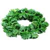 Deehome Artificial Money Plants Hanging Vines Garland (Green, Pack of 6) view 2