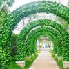 Deehome Artificial Money Plants Hanging Vines Garland (Green, Pack of 6) view 4
