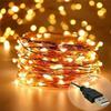Lexton Decorative Fairy Copper LED String Light | 10 Meter Long, USB Plug-in, Copper Wire | Best for Indoor & Outdoor Decorations, Diwali, Christmas (Pack of 1, Warm White) view 1
