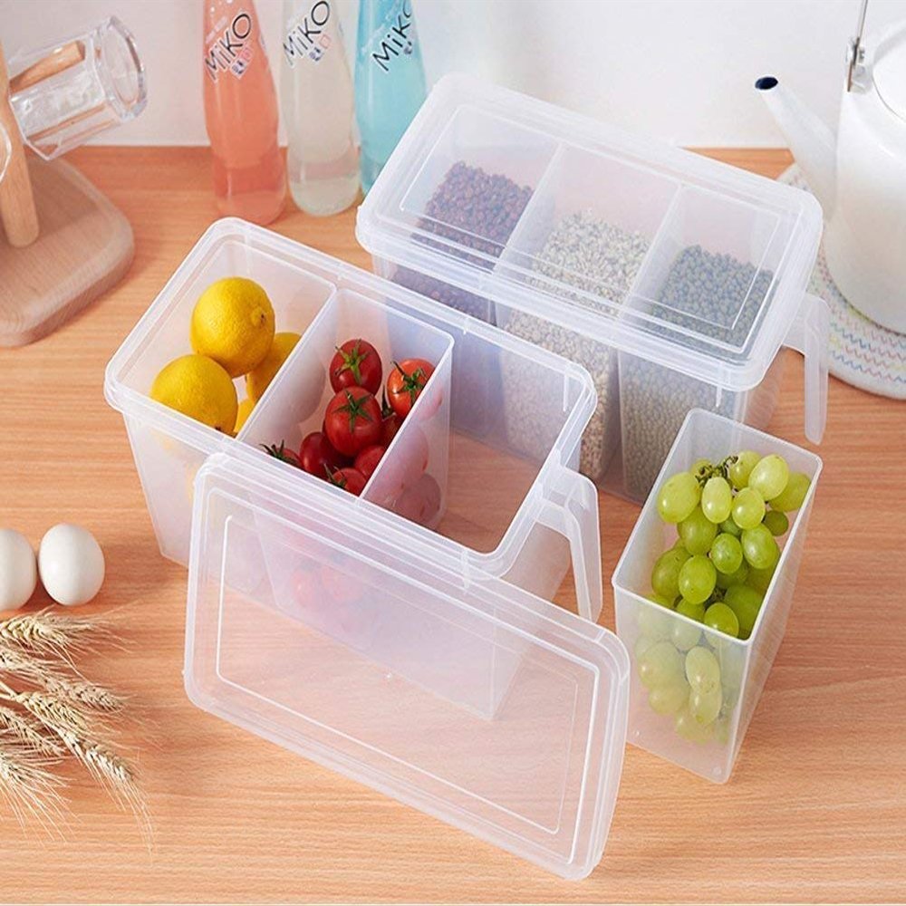 XEAMUSY DM9798-002 Plastic Container With Lid - 2000ml, Pack of 1, Transparent