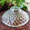 GTR Bubble Design Glass Flat Base Dinnerware & Servings Table Fruit Bowl, 22.5x7 cm, Transparent view 4