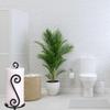Happie Shopping Wrought Iron (S2) Shape Towel Holder &Tissue Paper Stand Kitchen roll Dispenser (Black) view 3