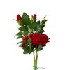 Ryme Artificial Red Rose Flower Combo  Set of 6 Bunches for Home, Office, Wall, or Vase Decoration | Faux Kali Rose Stems for Table & Interior Decor view 1