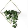 T J Hanging Planter Metal Vase & Geometric Wall Decor Container, White / Gold, 1 Pc view 1