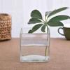 TIED RIBBONS Glass Vase for Flowers and Plants Living Room Home Dcor Table Centerpiece Wall Shelf Home Decoration (7.6 Cm, Without Flowers) view 2