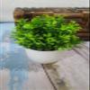 Litleo Mini All Green Different for Home Office Or Decoration Bonsai Wild Artificial Plant with Pot (Set of 4, 15 cm, Green) view 2