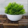 Litleo Mini All Green Different for Home Office Or Decoration Bonsai Wild Artificial Plant with Pot (Set of 4, 15 cm, Green) view 4